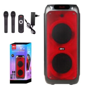 רמקול בידורית נייד 8*2 אינץ YS-010 60W כולל מיקרופון אלחוטי ושלט